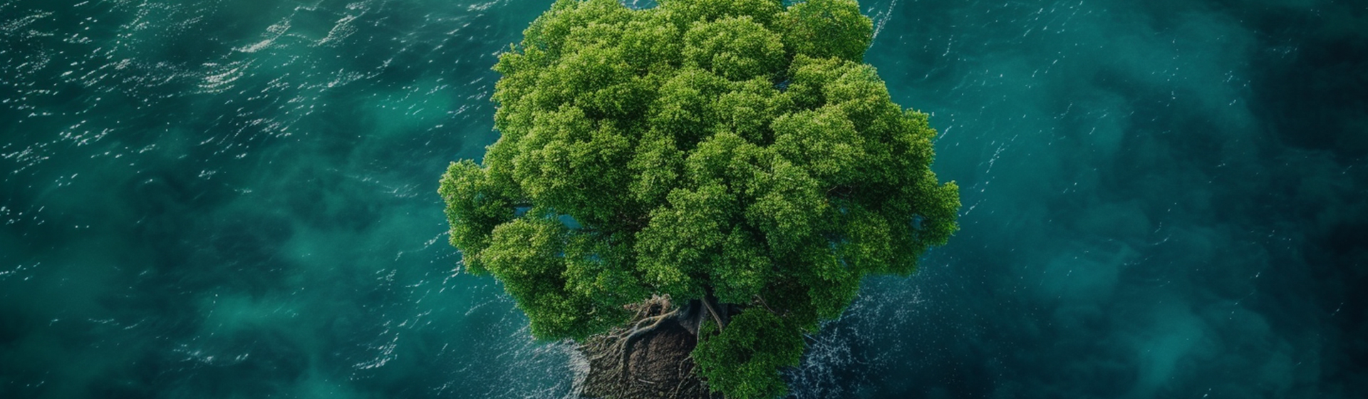 Ningbo Aikang Alumínium Foil Technology Co., Ltd.